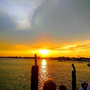 Meet your Posher, Marion